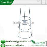 Tomatoes Plant Trellis Gardening thumbnail-1