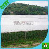 China Plastic Manufacture Supply 3-layer Woven 200 Micron 5-year UV Stabilized HDPE Tunnel Plastic Greenhouse Film for Mushroom thumbnail-5
