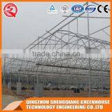 China Direct Plastic Greenhouse for Plant Tomato and Flowers thumbnail-4