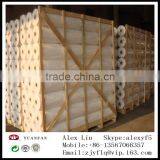 Anti-UV 18gsm 2m*200 Gardening Cover Non Woven Made in Zhejiang thumbnail-6