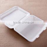 Biodegradable and compostable sugarcane fast food take away lunch box