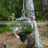 New Design With High Quality Wholesale Glass Globle Hanging Terrarium thumbnail-4