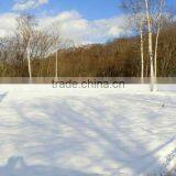 Route 5 Land #3 thumbnail-1