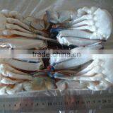 High Quality Seafood Frozen Crab Cakes thumbnail-1