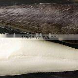 Patagonian Toothfish thumbnail-2