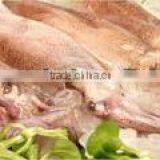 Seafood Frozen Squid (Loligo Japonoca) thumbnail-1