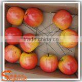 CHINA Manufactorturers Supplying High Quatily Apple Christmas Tree Ornaments Apple Tree thumbnail-6