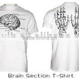 Brain Section T-Shirt thumbnail-1