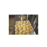 Canned Pear Halves in Syrup