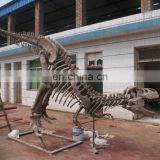 2015 Dinosaur Skeleton & Fossil Model Museum Toys