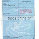 Plastic Aluminum t Slot Table Dsp Hand Held Cnc Router Best Price Wood Cutting Machie Encarving Machine Cnc Router Made in China thumbnail-6