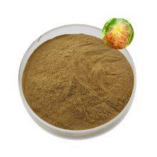Natural Corn Stigma Extract/Corn Silk Extract thumbnail-2