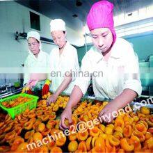 Factory Price Avocado Potato Sorting Machine Vegetable Processing Machine Used in Fruit Cleaning and Processing thumbnail-3