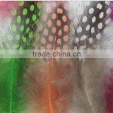 Feathers for Sale Cheap thumbnail-1