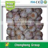 Hot Sale 2015 Normal White Garlic thumbnail-1