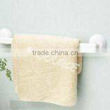 Plastic Towel Holder