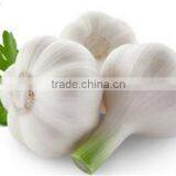 Garlic in Brine Garlic Pickles Garlic thumbnail-2