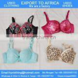 Factory Supply All Kinds of Beautiful Used Bra for Africa thumbnail-1