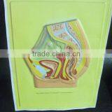 A3 Size 3D Embossed Poster Printing thumbnail-1
