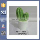 Funny Porcelain Cactus Figurine Home Decoration thumbnail-4