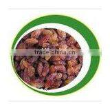 Red Currant--HOT thumbnail-1