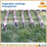 Stainless Steel Vegetable Transplanter, Manual Vegetable Seedling Transplanter thumbnail-6