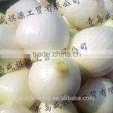 Onion Peeling Top And Tail Cutting Machine thumbnail-4