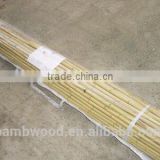 high quality best price bamboo fence