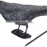 Black Raven Bird Scarer