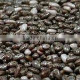Chia Seeds thumbnail-1
