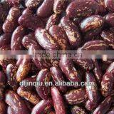 2015 Crop Kidney Bean thumbnail-5