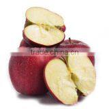 Common Cultivation Type and Apple Type Fresh Apples Fruit thumbnail-1