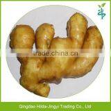 2015 New Price of Fresh Ginger, Ginger Price, Ginger thumbnail-1