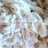 Cotton Yarn Waste thumbnail-1