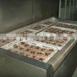 Food Tunnel Freezer thumbnail-2