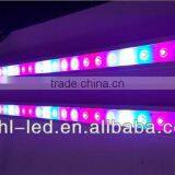 Gehl 2015 Hot Sale Grow Room Led Strip Grow Lights thumbnail-6