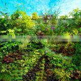 Besr Price Artificial Plant Wall Artificial Plastic Plant Artificial Vertical Grass Wall for Decor thumbnail-5