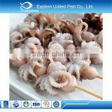 New Arrival Wholesale Health Cleaned Baby Octopus Skewer thumbnail-1