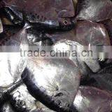 Frozen Moonfish100-150 /pc Whole Round Mene Maculata Seafood thumbnail-2