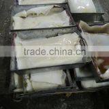 Good Price Wholesale Skin off Peru Squid Meat thumbnail-1