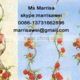 Tomato Spiral Support