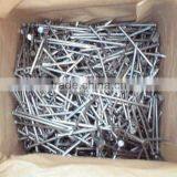 Common Round Iron Wire Nails