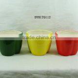 Cute Vegetable Shape Dolomite Ceramic Flower Pot for Home and Garden Decorative thumbnail-5