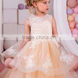 2017 Baby Girl Party Dress Children Frocks Designs Ruffle Embroidered Lace Wedding Dress thumbnail-2