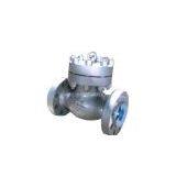 Lift Check Valve thumbnail-1