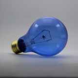 Reptile Daylight Blue Bulb A23 150W