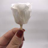 Wholesale3-4cm elegant real touch preserved rose flower