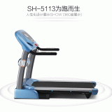 Home Treadmill Manufacturers, Indoor Treadmills, Gym Treadmills thumbnail-2
