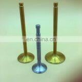 For Peugeot 204 304 404 504 407 405 307 308 508 207 Auto Spare Parts Esd Diesel Engine Valve thumbnail-4