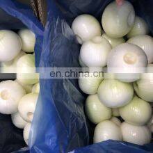 Year Round European Standard Harvest 2019 Skin Off Yellow Whole Round Fresh Onions From China thumbnail-4
